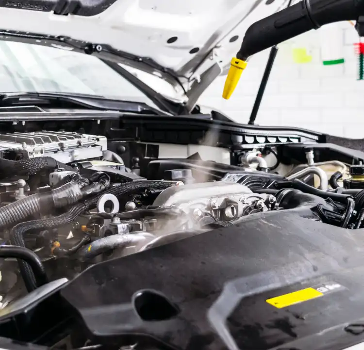 Engine bay deep clean